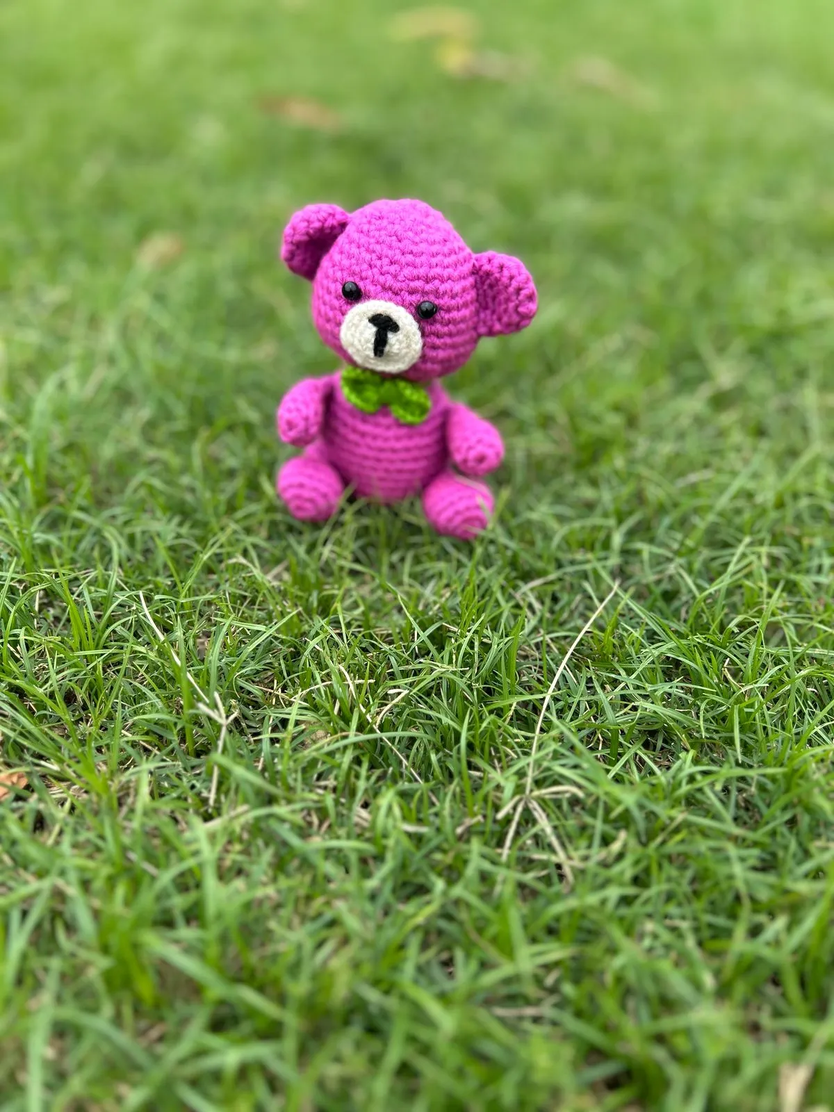 Crochet Magenta Teddy Bear